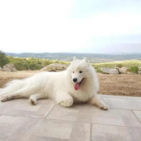 Bell'alba 3*